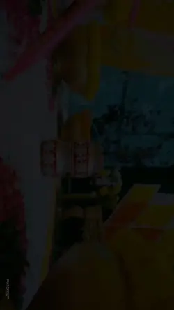 mehndi

