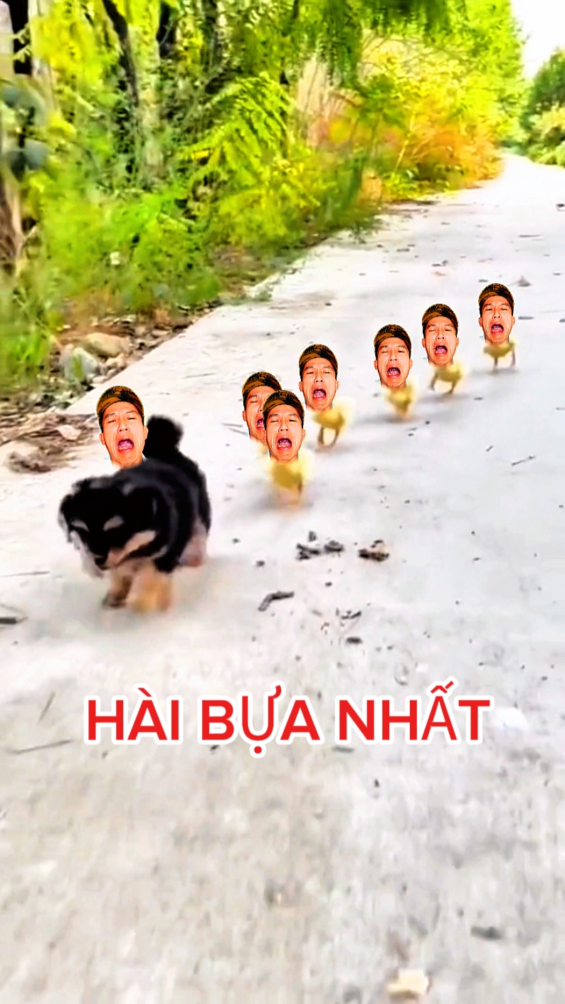 ghép hài hѕѕc 