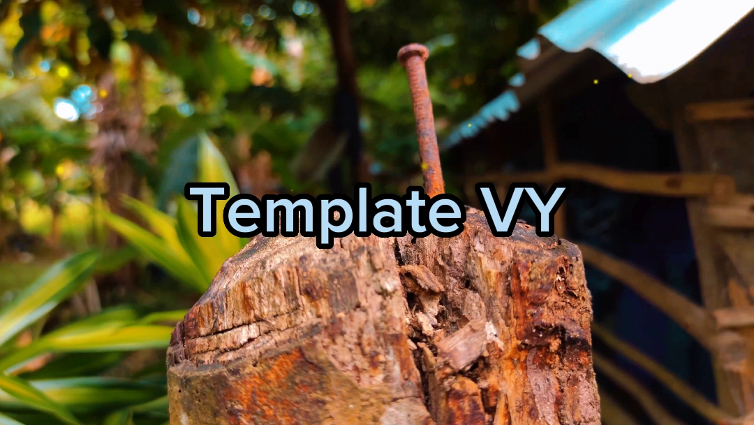 Template VY