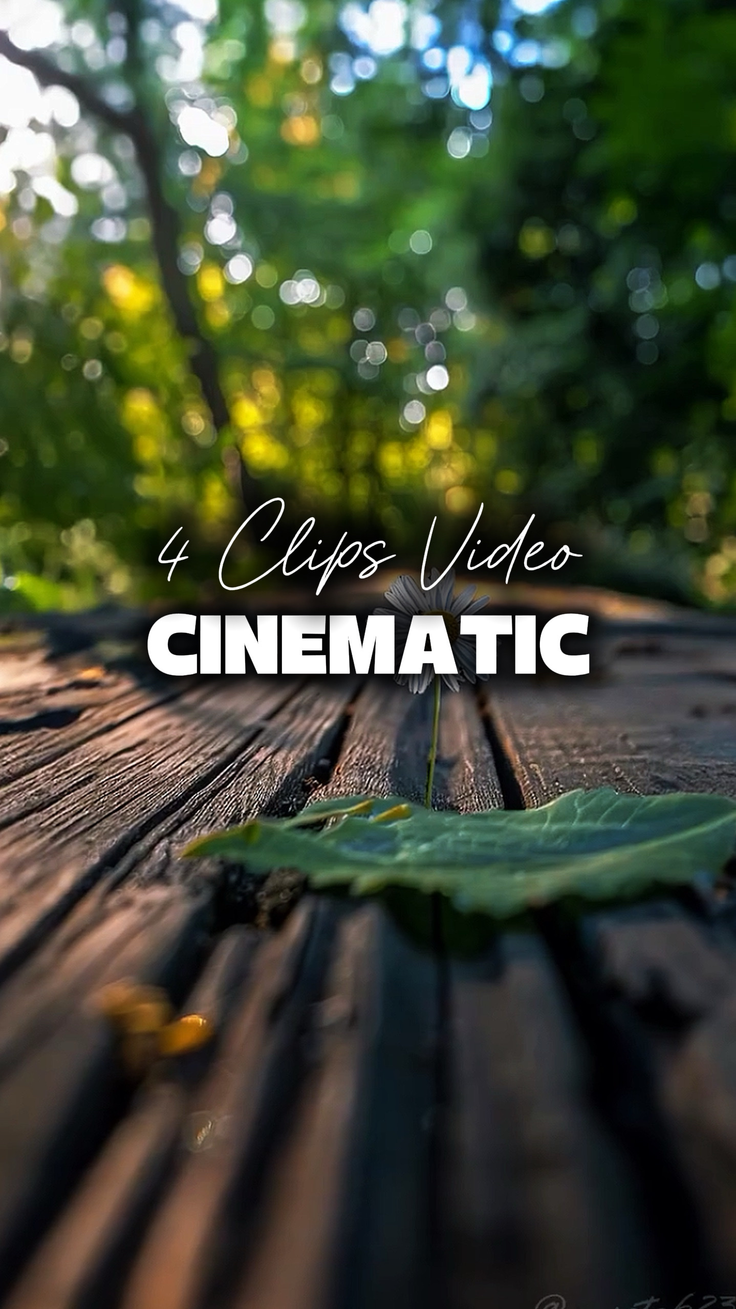 4 Vidéos Cinématiques 