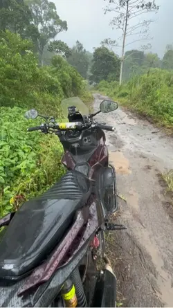 Adikku sayang bali