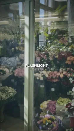 flashlight 