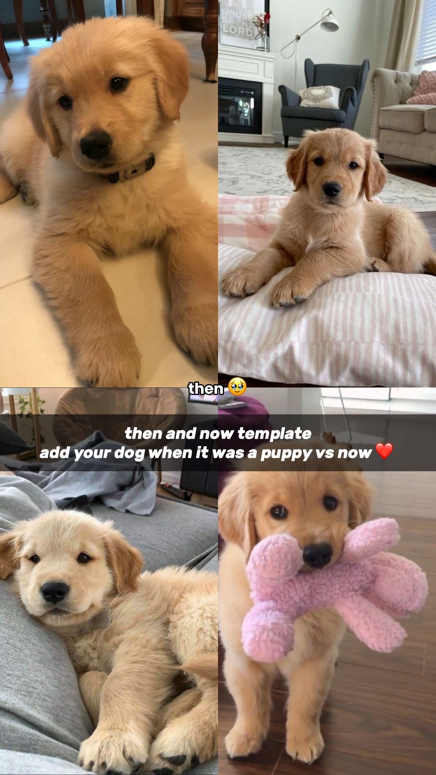Hier et aujourd'hui ❤️
