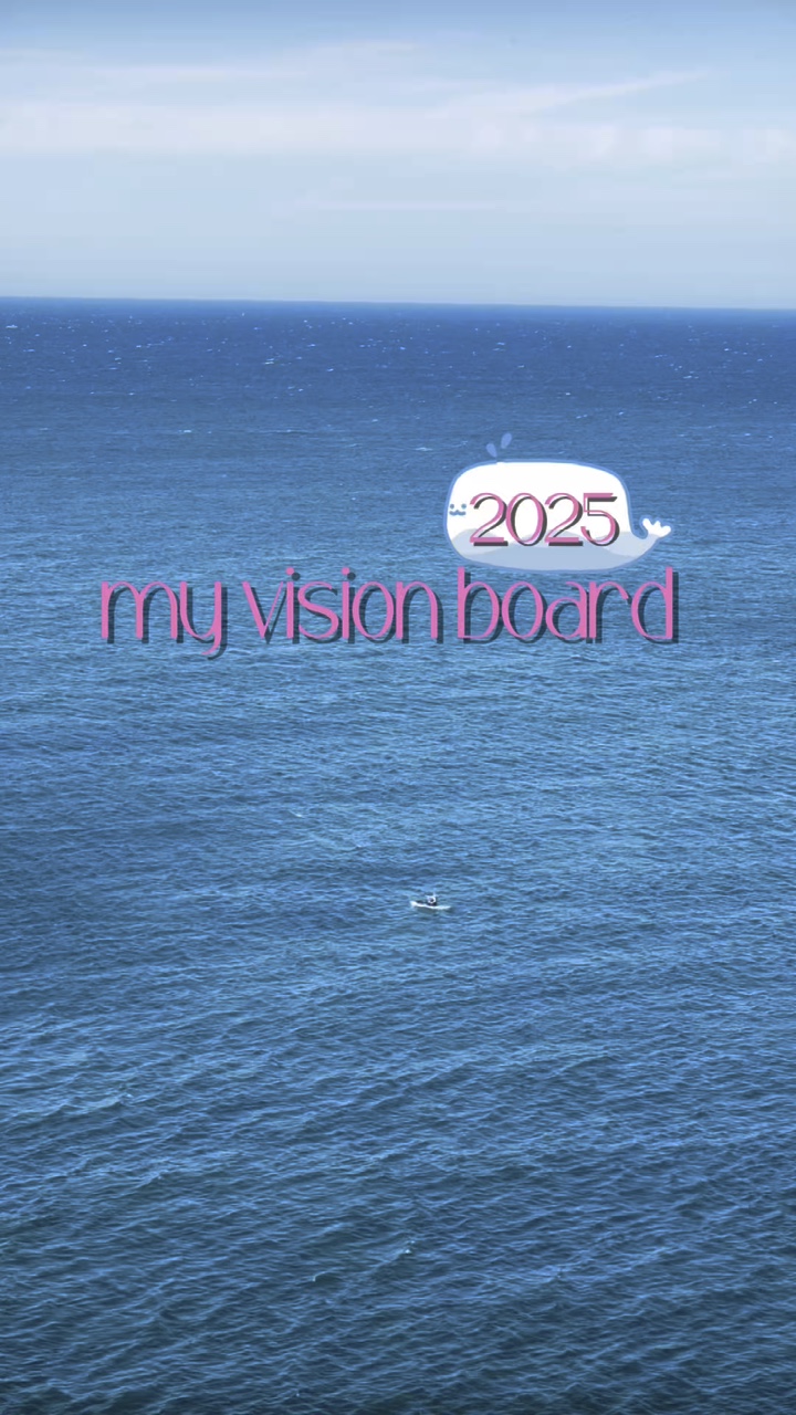 Meu Quadro de Visão 2025