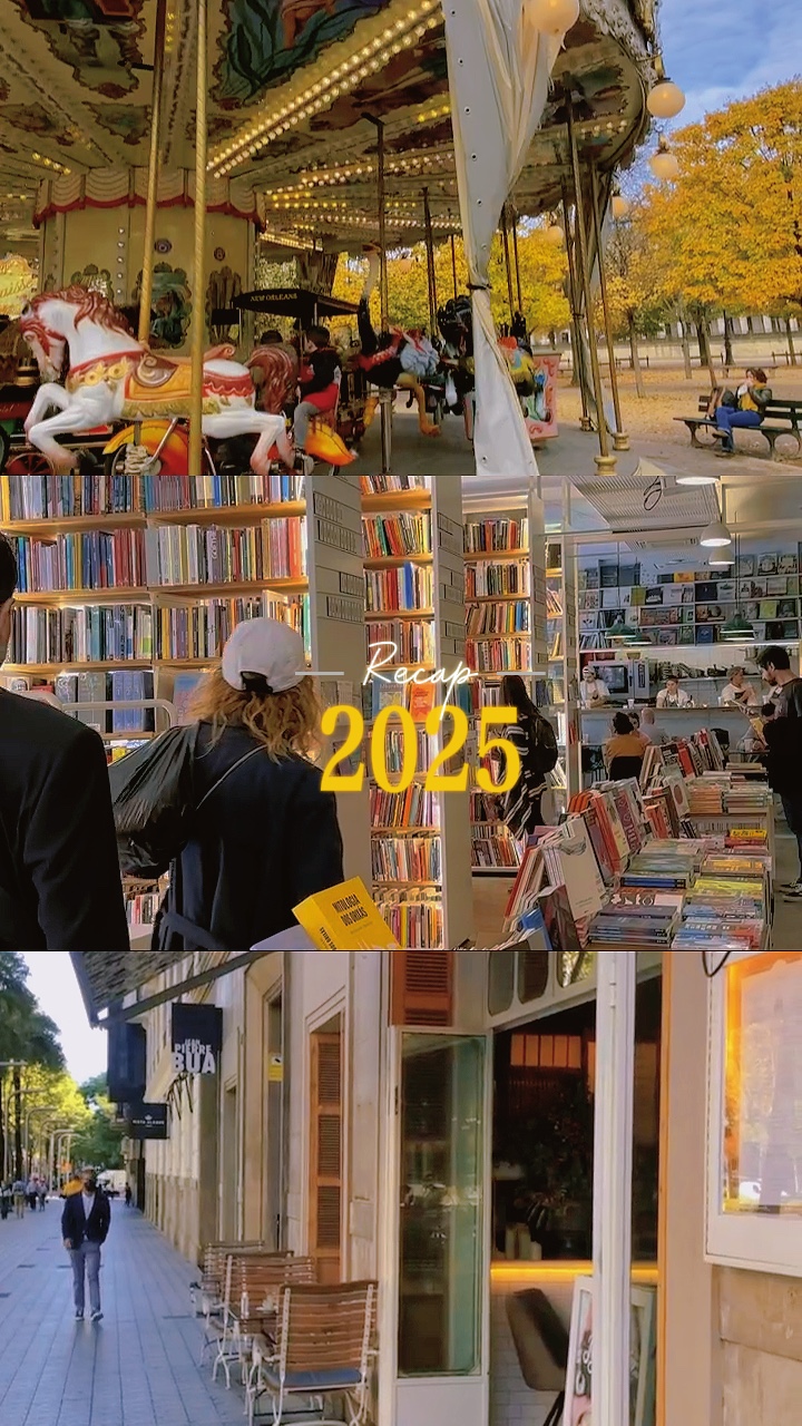 RESUMEN 2025 11 CLIPS