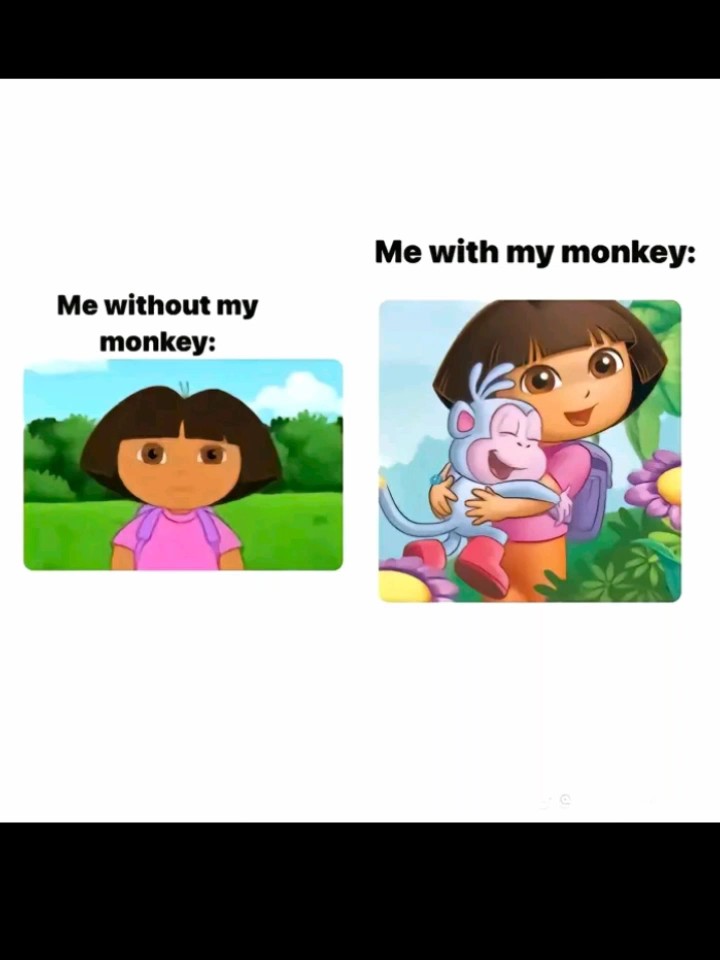 Com macaco