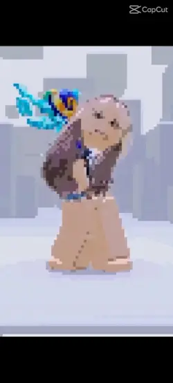pora roku