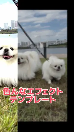 色んなエフェクト
