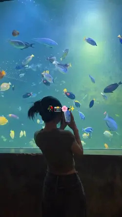 MINI VLOG STORY 