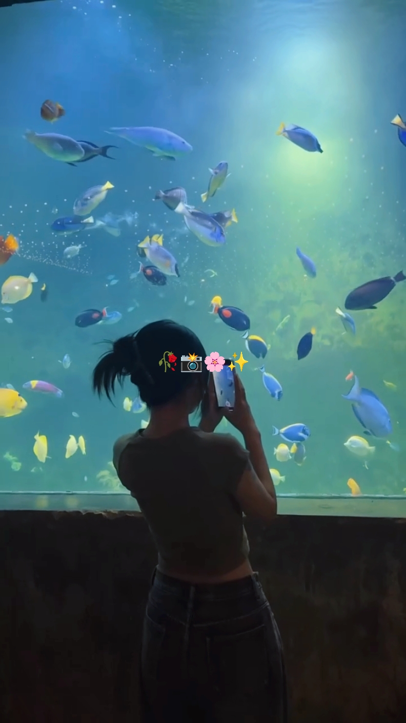 MINI HISTORIA DE VLOG 