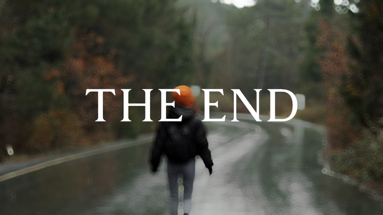 THE END