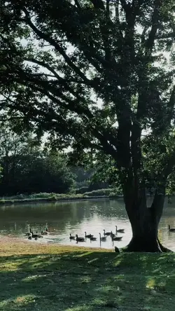 มันไม่มีอะไรมากหรอก 🌿🌳