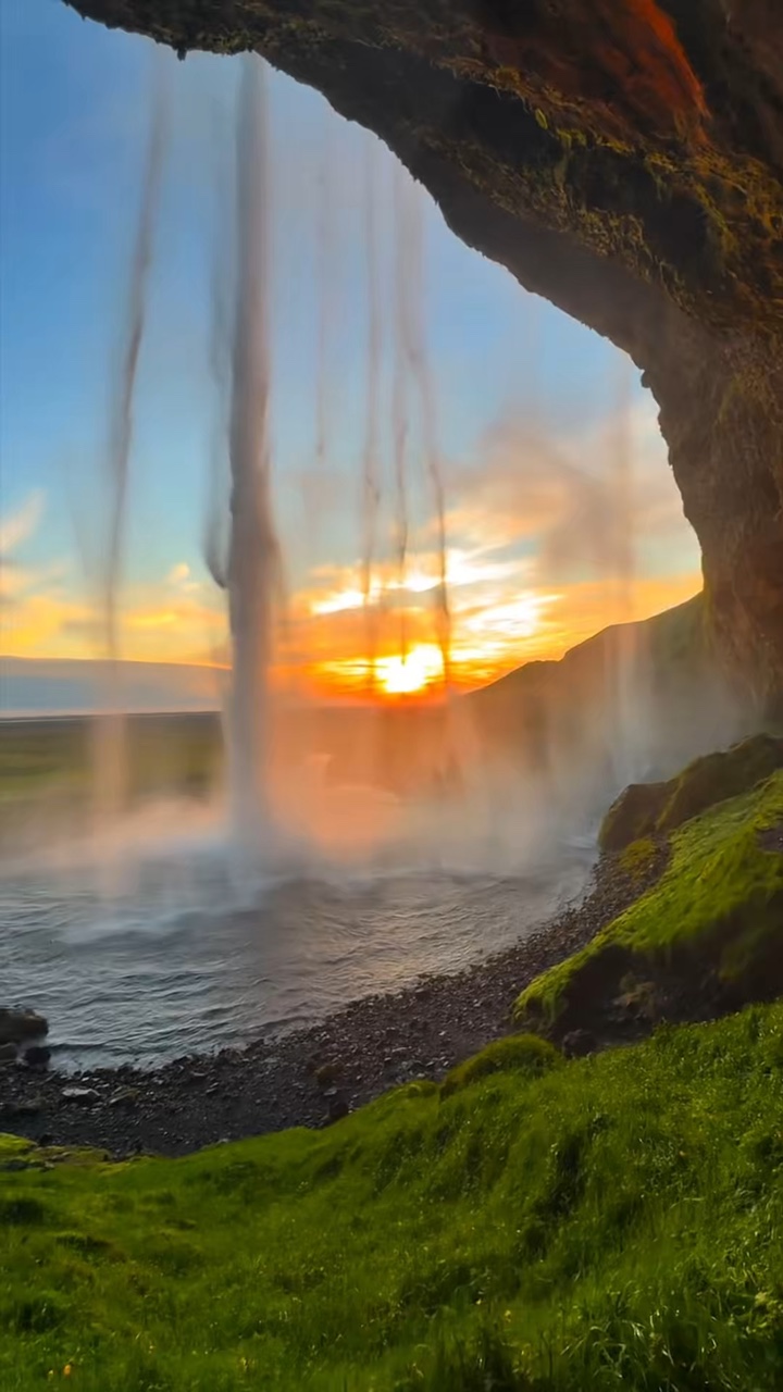 9 clips wild nature 