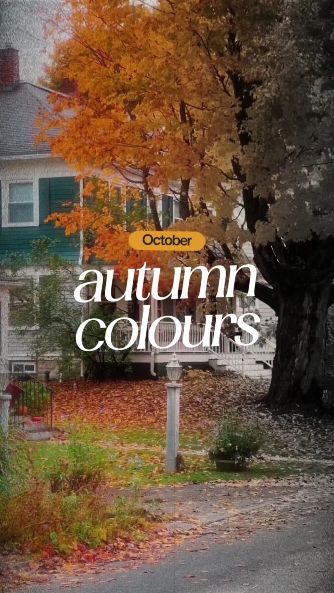 couleurs d'automne