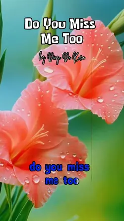do you miss me too