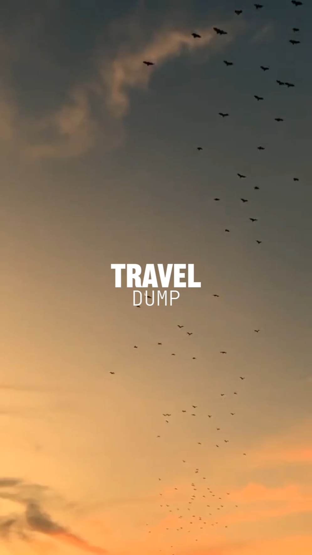 VUELTA DE VIAJE