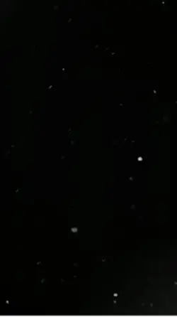 superman trend
