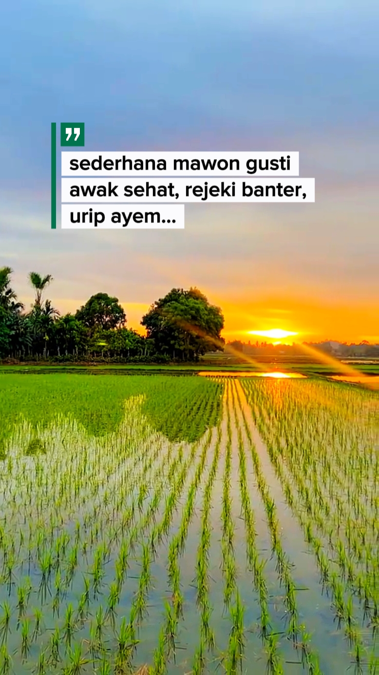 mawon ng sederhana