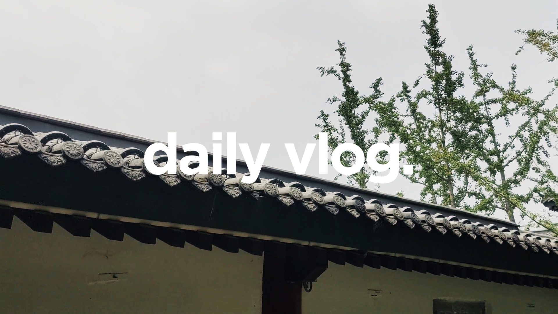 Vlog de construcción