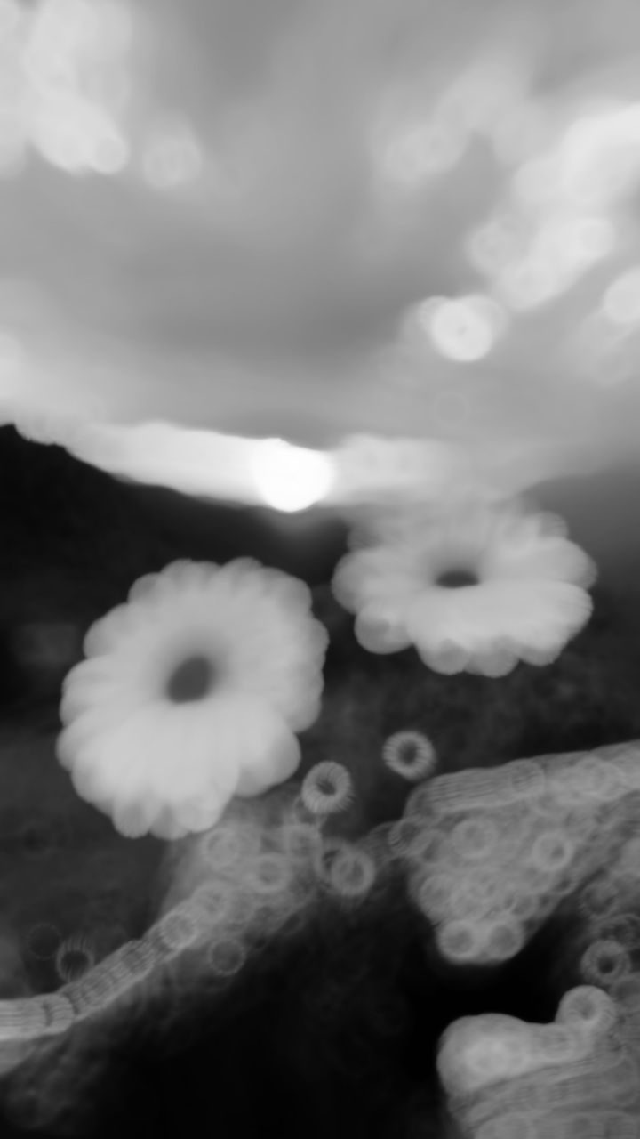 Flores e dia ensolarado 