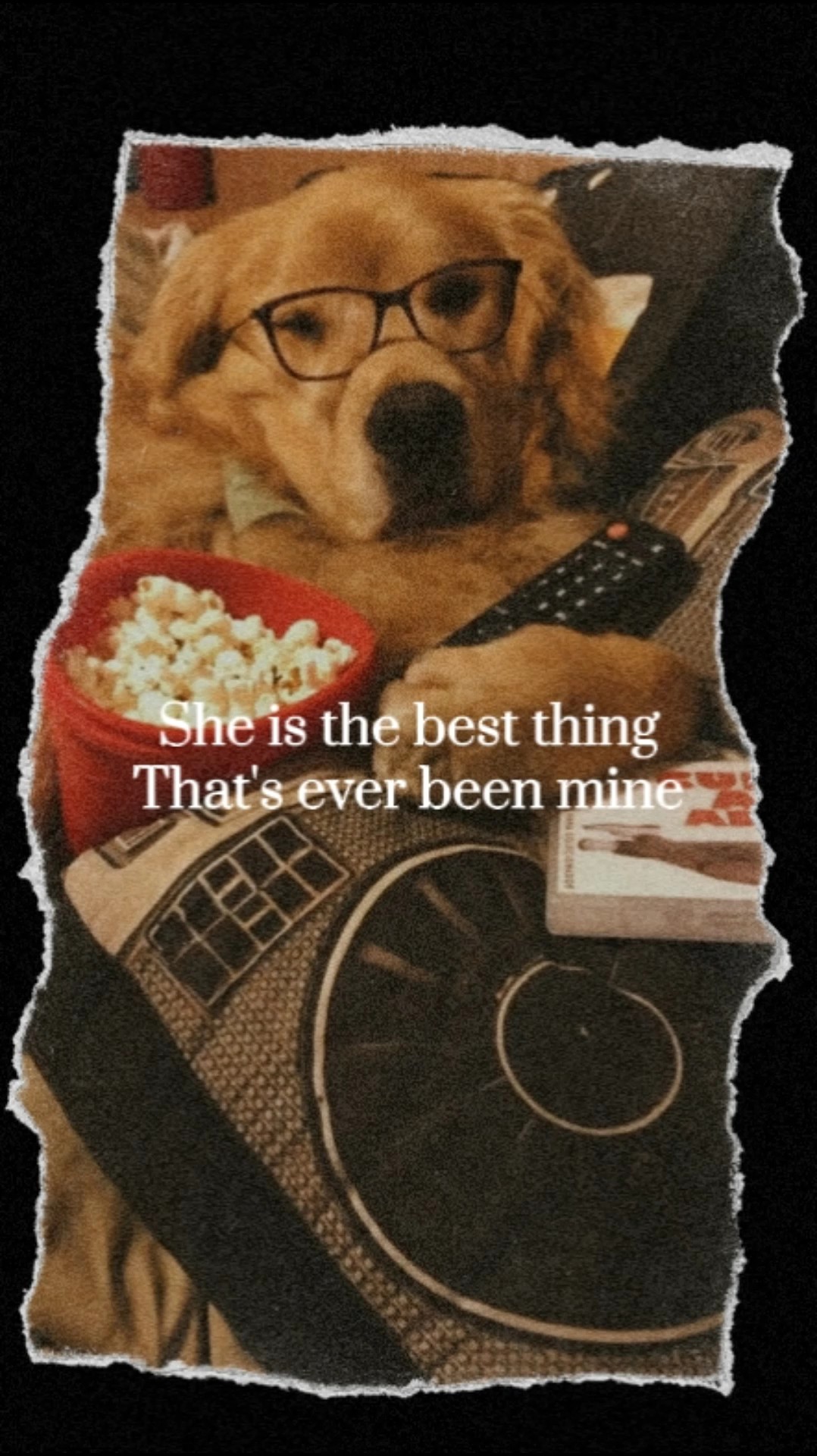 My Golden Retriever