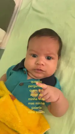 Minha vidinha 