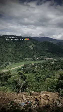 Lwm tiam mam hlub ko