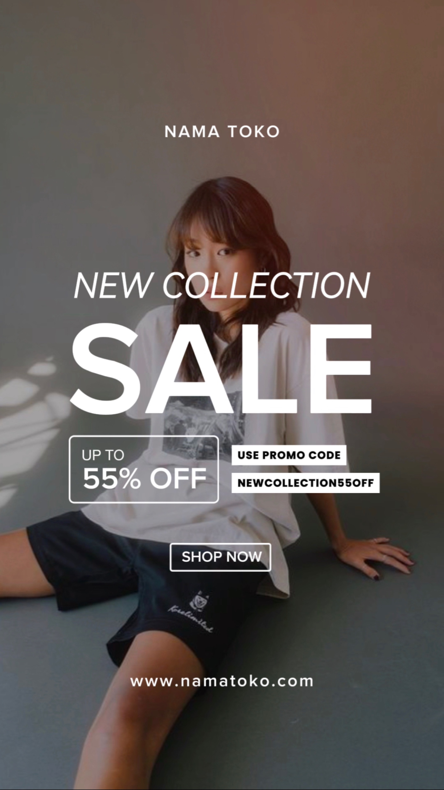 story : sale promo