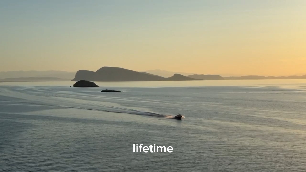 lifetime