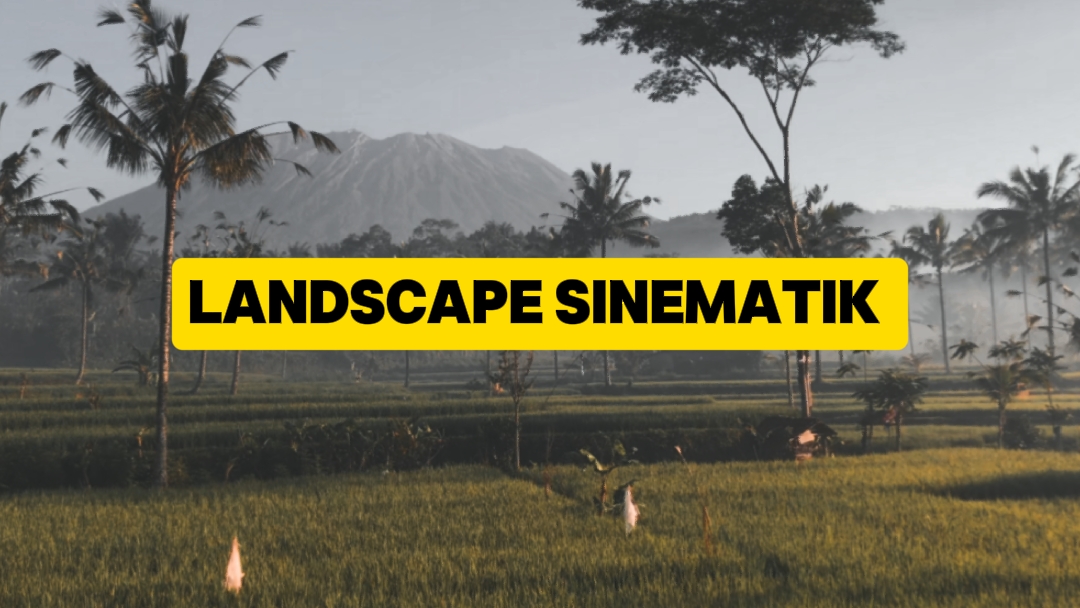 Paysage SINEMATIK 
