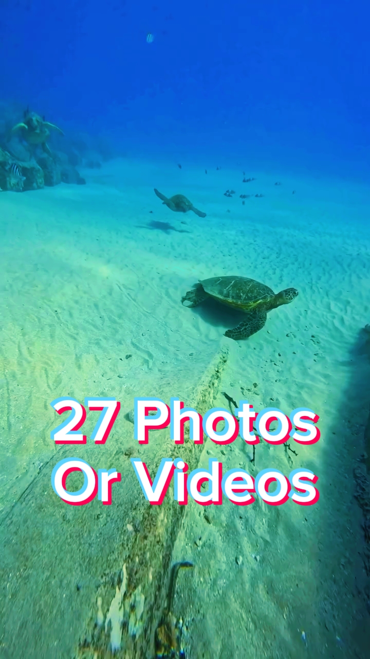 27 Fotoğraf Slaytları
