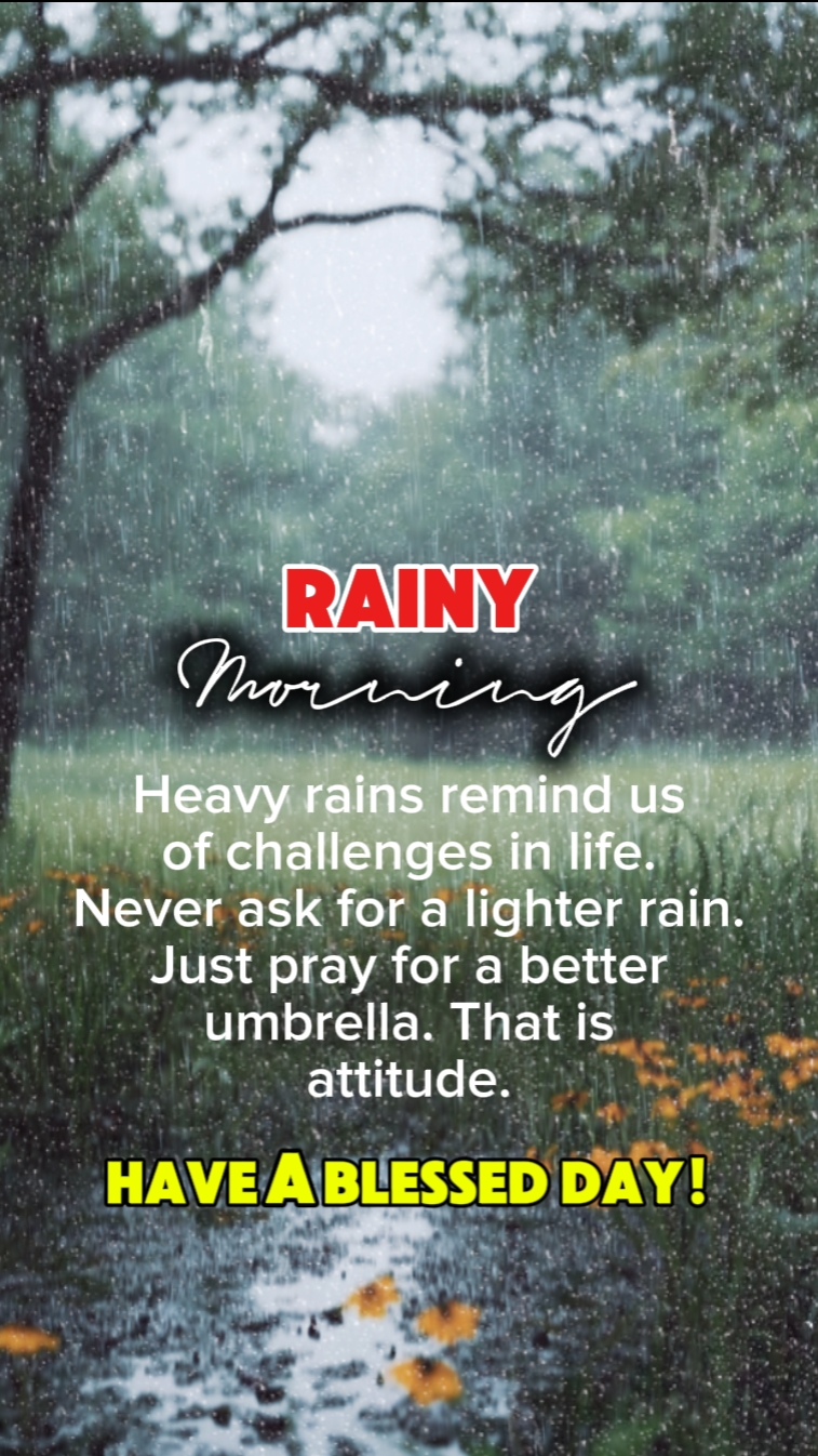 rainy morning