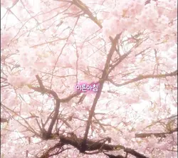 가을아침