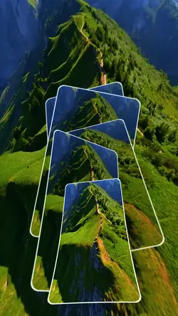 12 video or photo