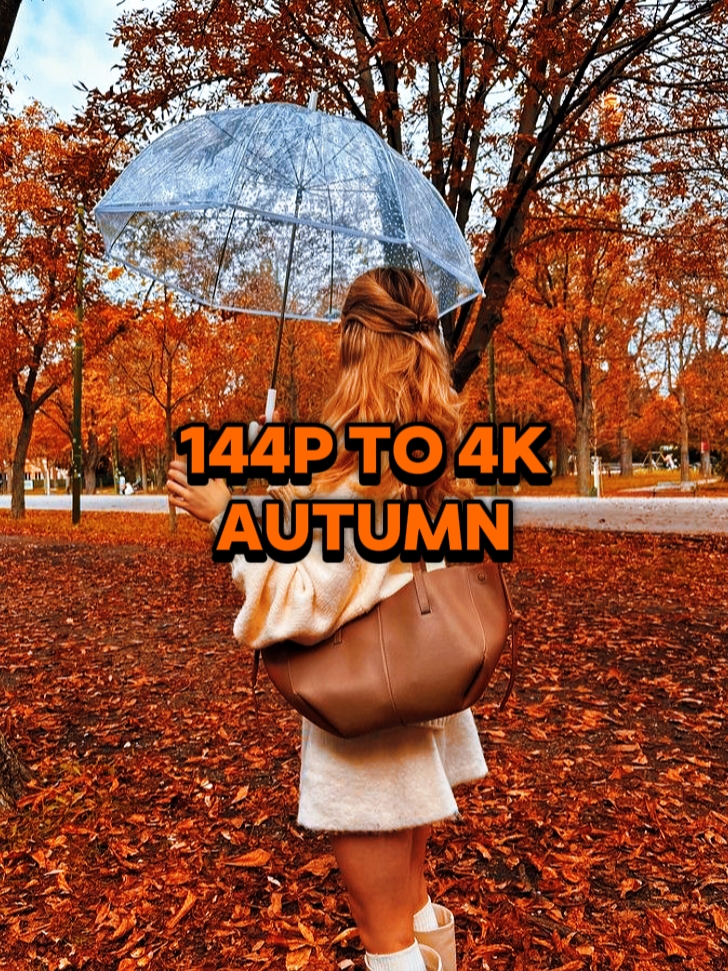 144P TO 4K AUTUMN