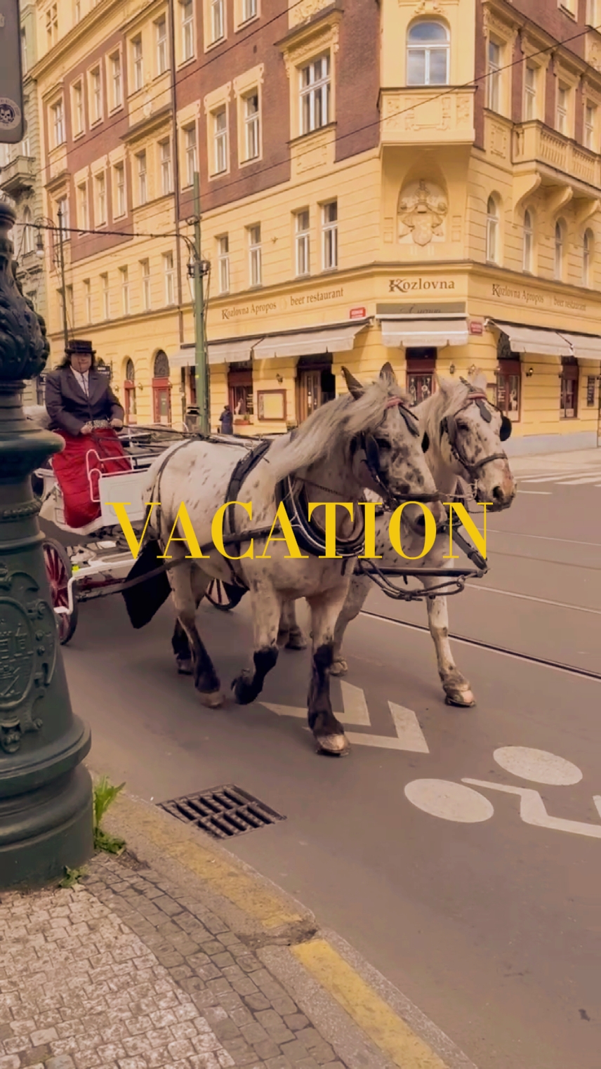 VACANCES D'ÉTÉ 