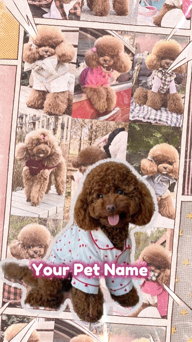 Pengenalan Anjing