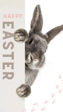 Hoppy Easter 🐇