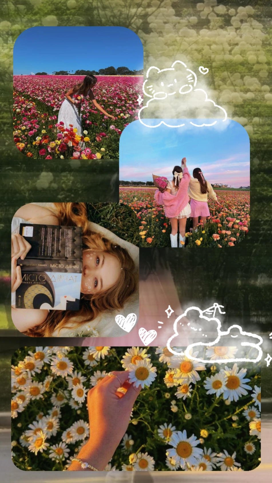 Cover Picture