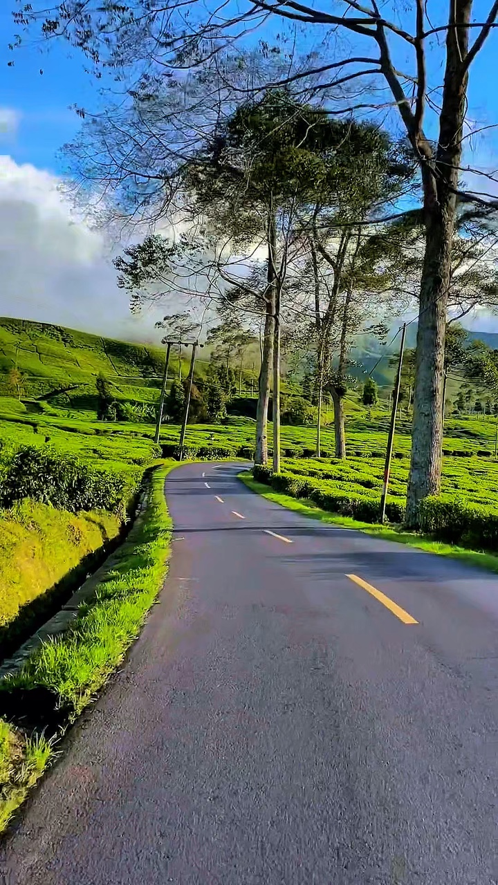 3 video clips HD 