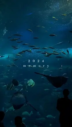 2024memory