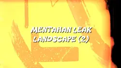 LEAK LANDSCAPE