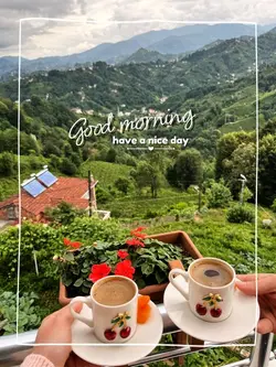 good morning