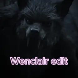 Wenclair edit