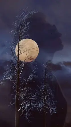 Moon Veil 🌖