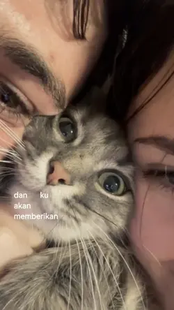 lesung pipi
