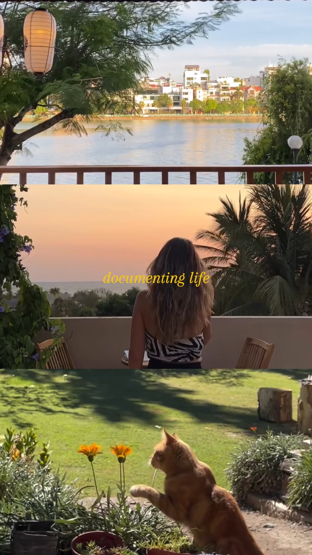 Documentando a vida 
