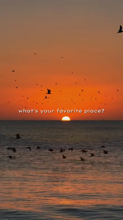 Favorite Place