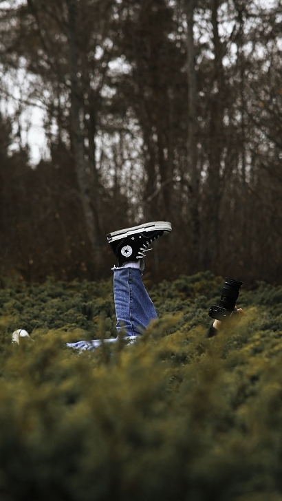 Cover Picture