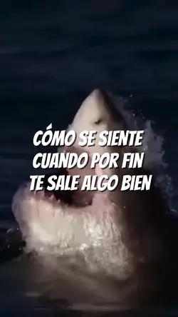 MEME PARA HOMBRES 
